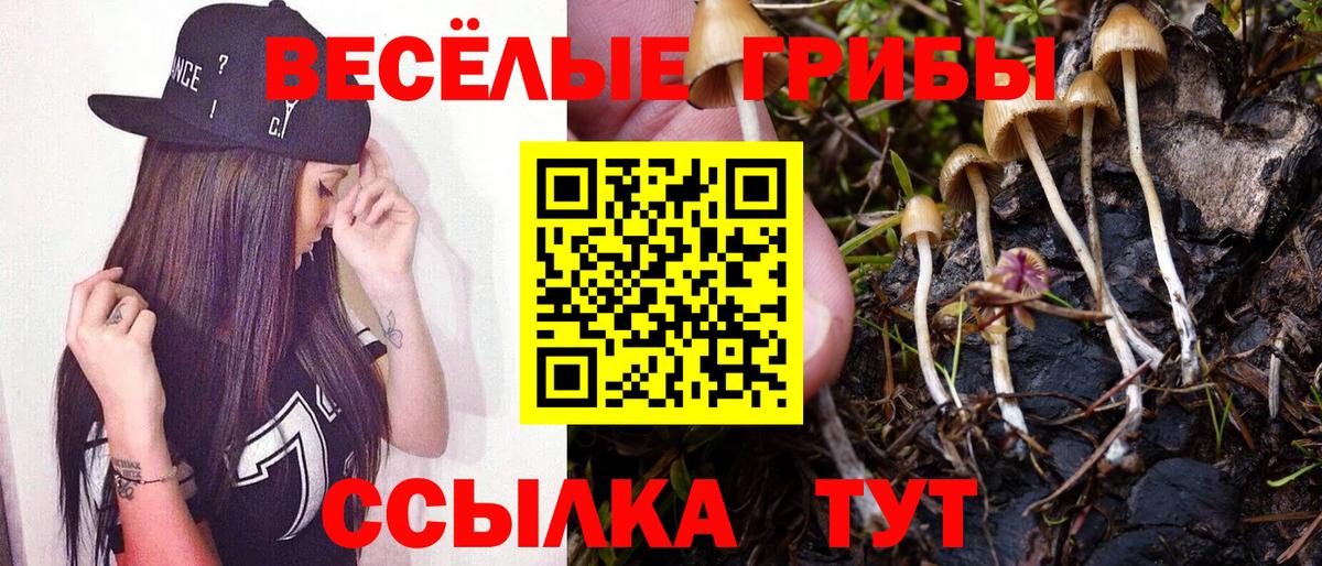 Галлюциногенные грибы мицелий  Псилоцибиновые грибы Magic Shrooms  Нефтеюганск  Вход с VPN 